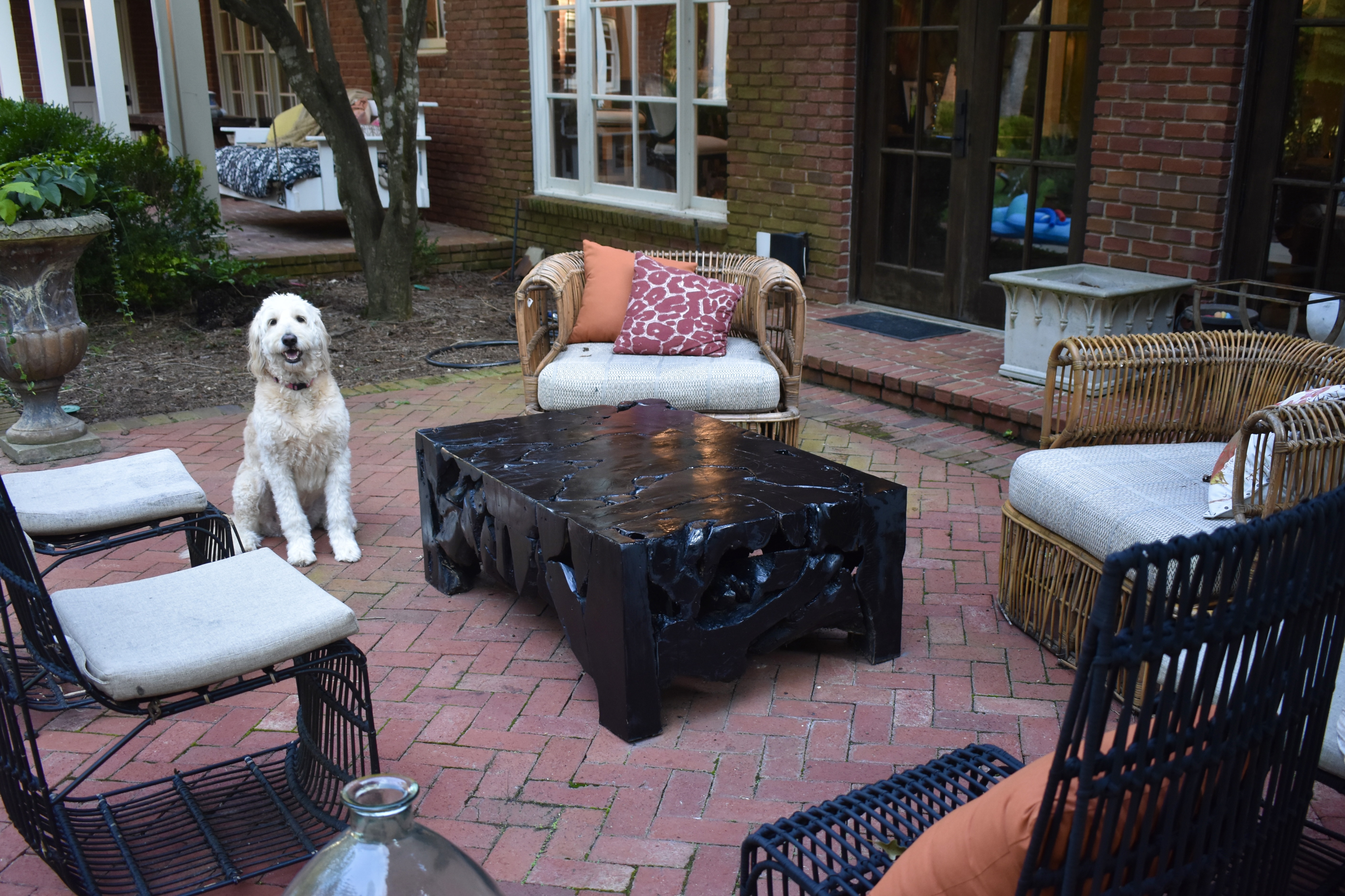 Trata progress photo